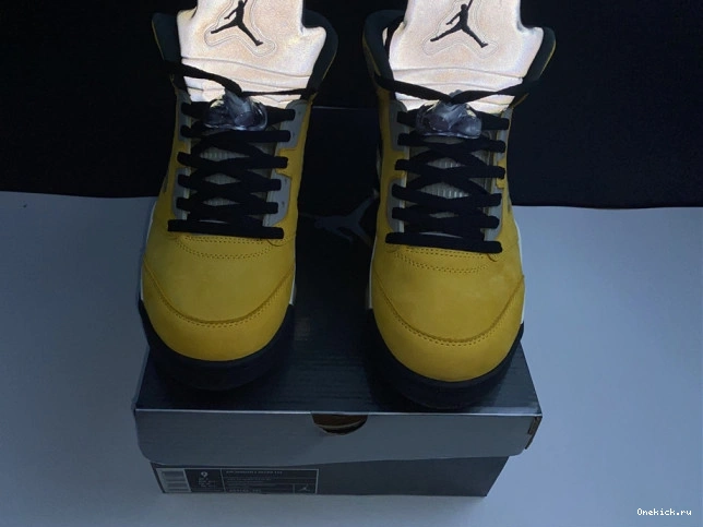 One Kick Air Tokyo T23 454783-701 Retro Jordan 5 0713